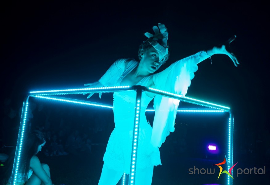 LED SHOW