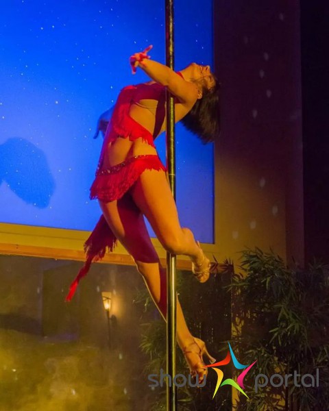 Pole dance show (Tanec na tyči)