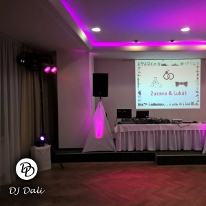 DJ Dali