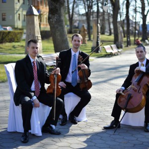 Jukebox String Quartet - Sláčikové kvarteto
