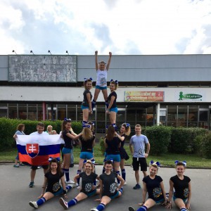 Destiny Cheer Team