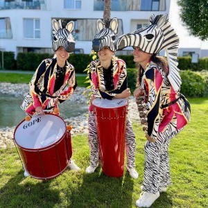 Zebra Drums